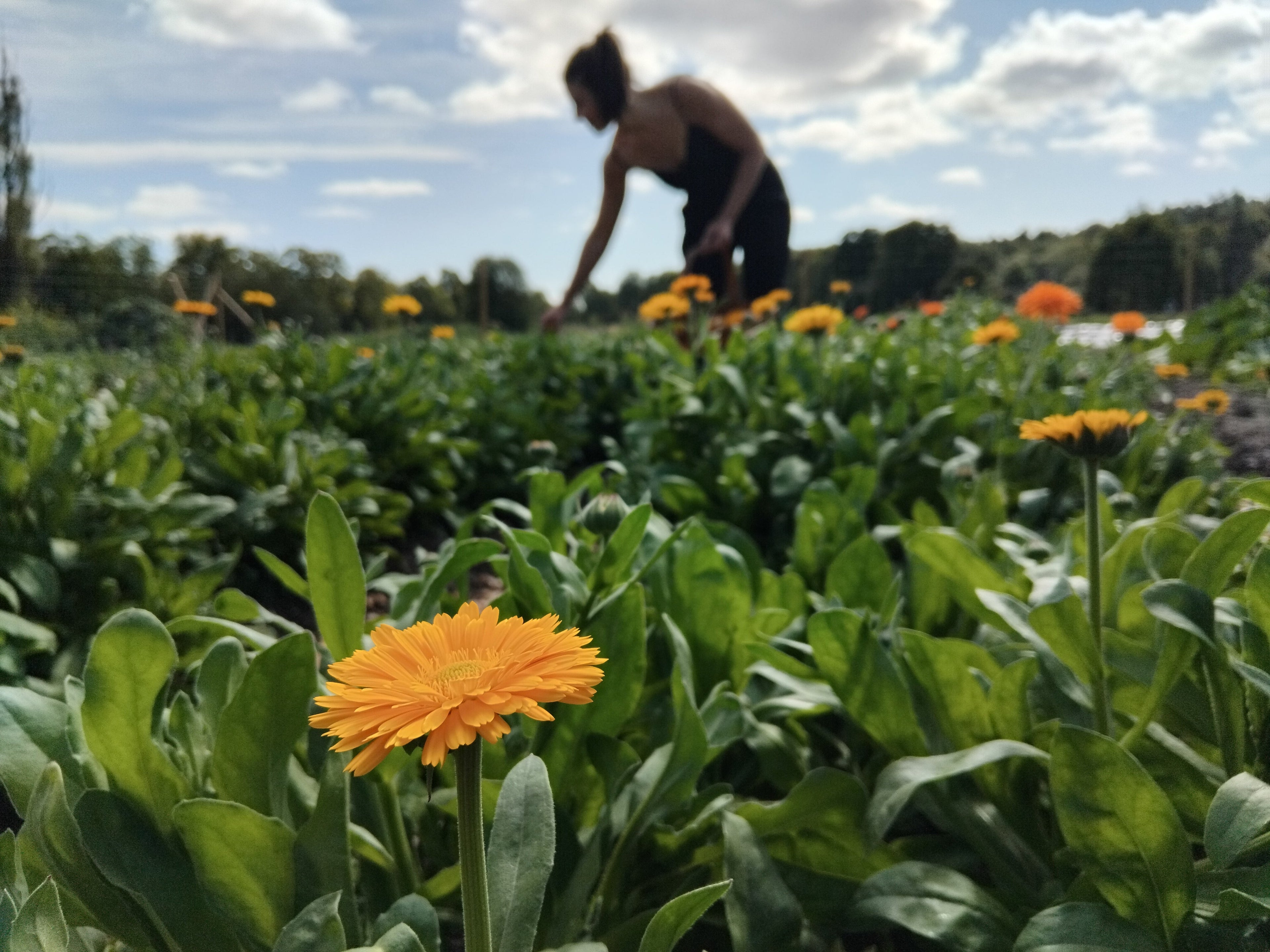 Professional burnout: recognizing my limits