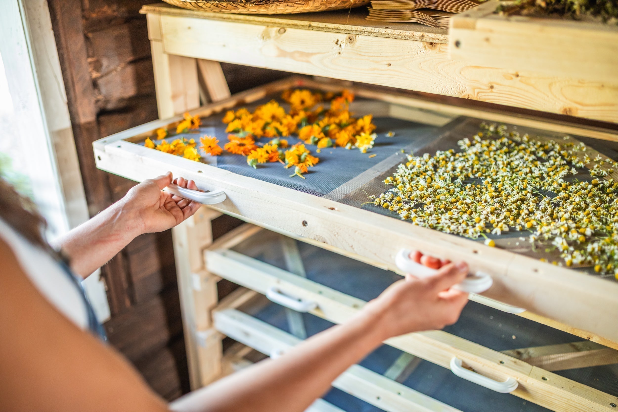 How dried herbs are processed at the farm?