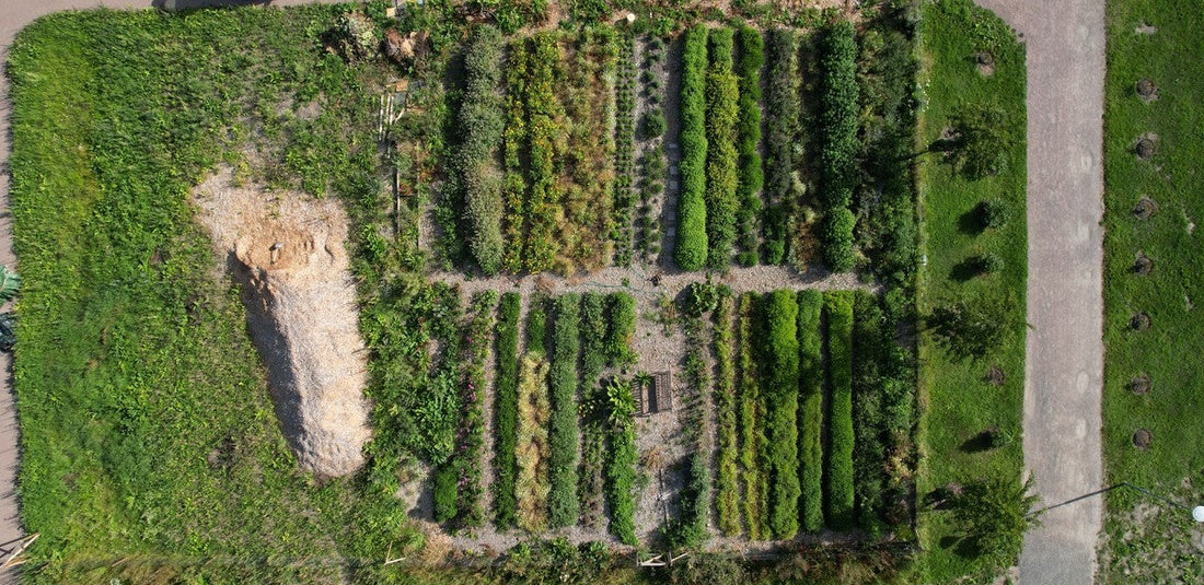 Working with the Seasons