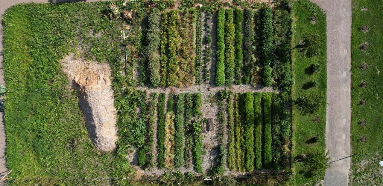 Working with the Seasons