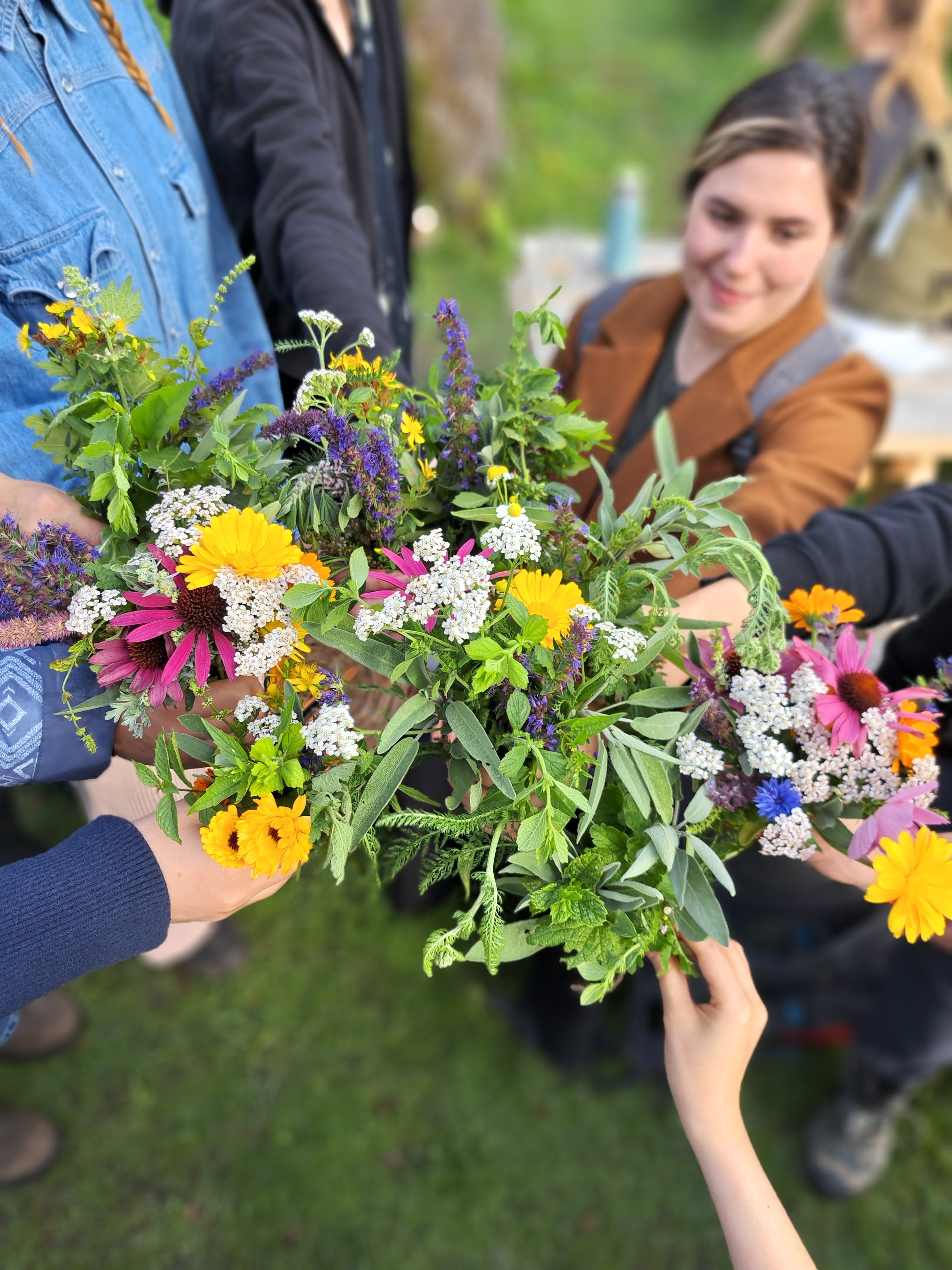 Lär dig känna och använda örterna