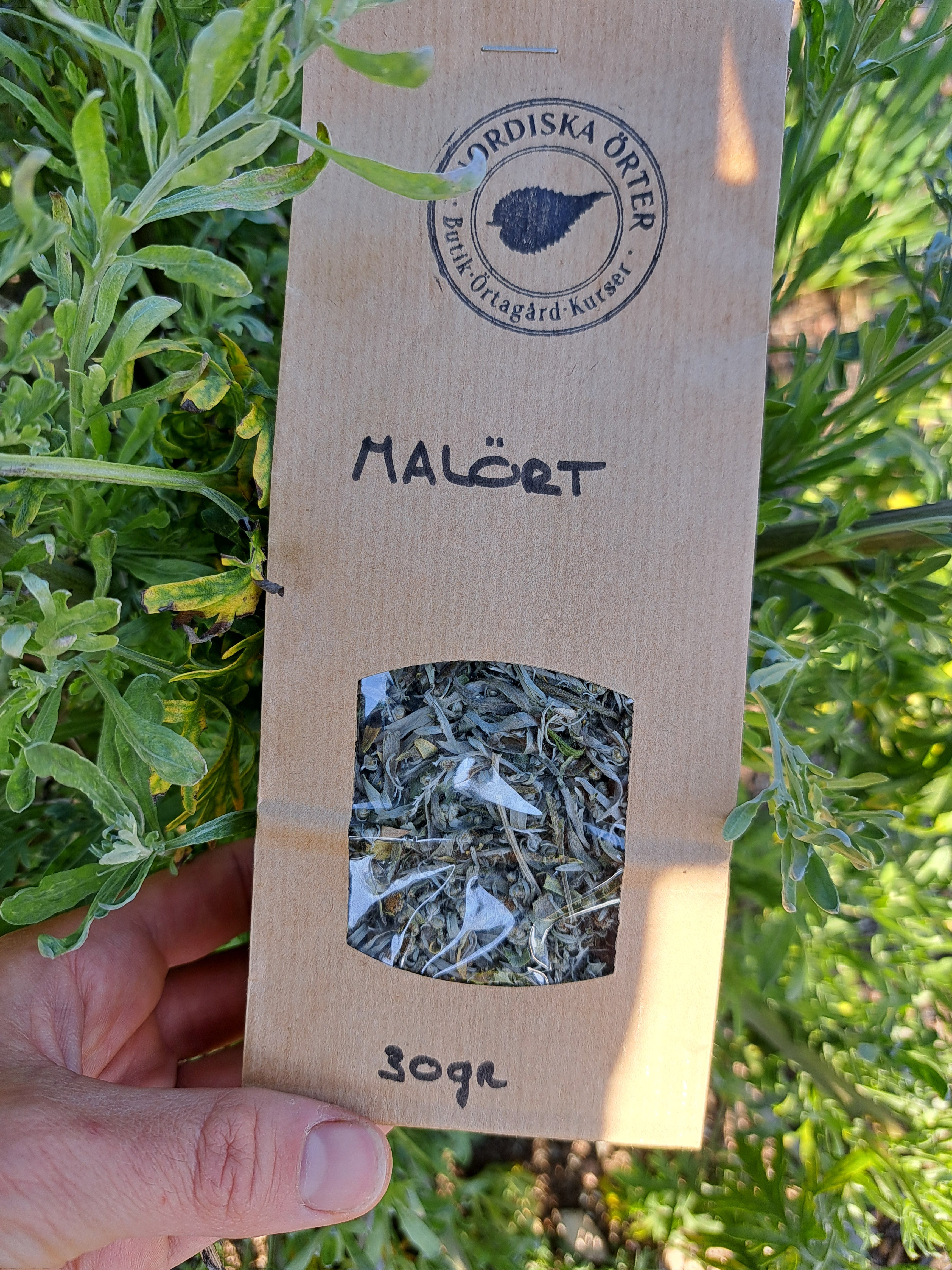 MALÖRT