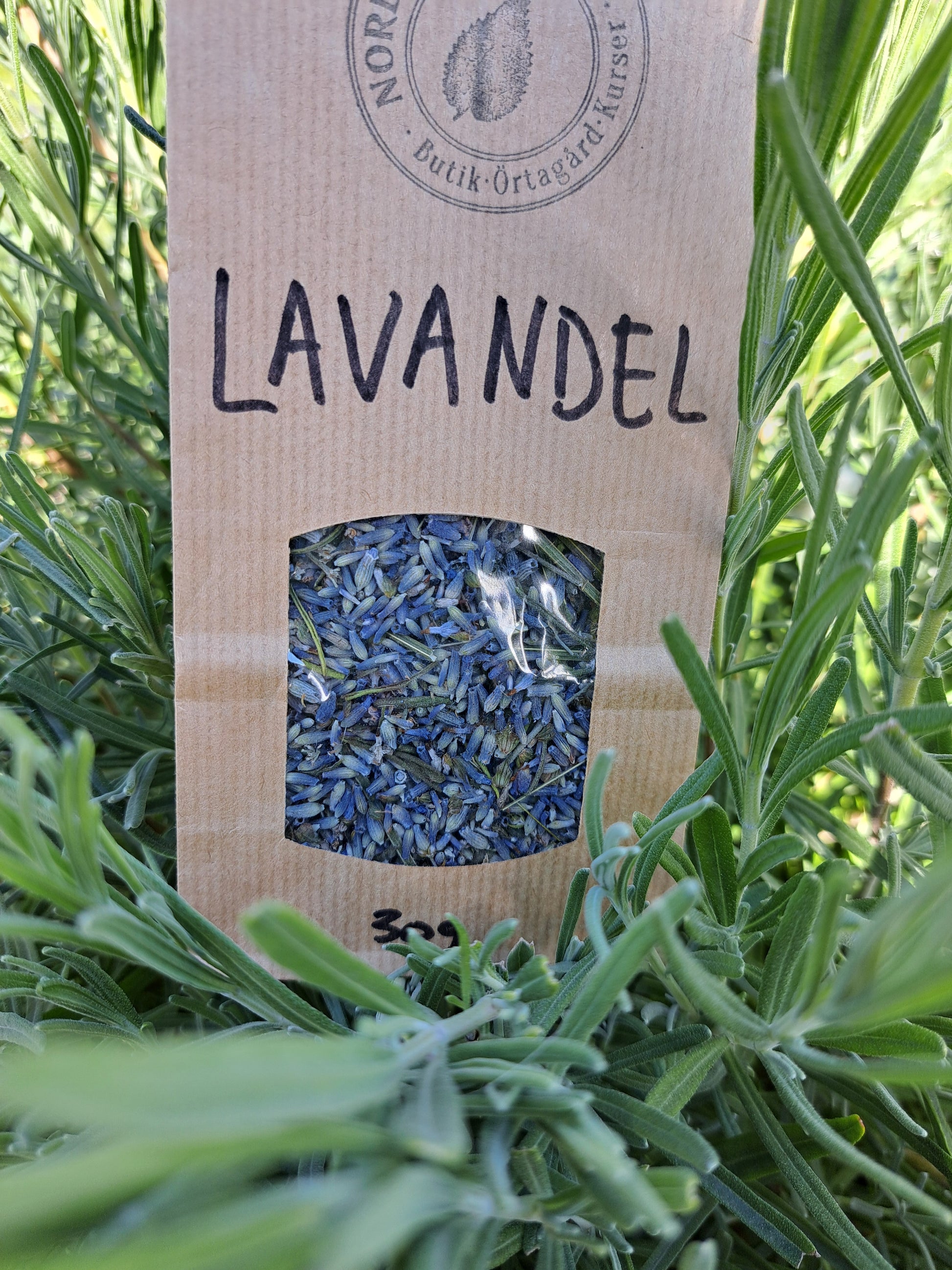 LAVANDEL
