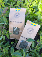 HELIG BASILIKA / TULSI