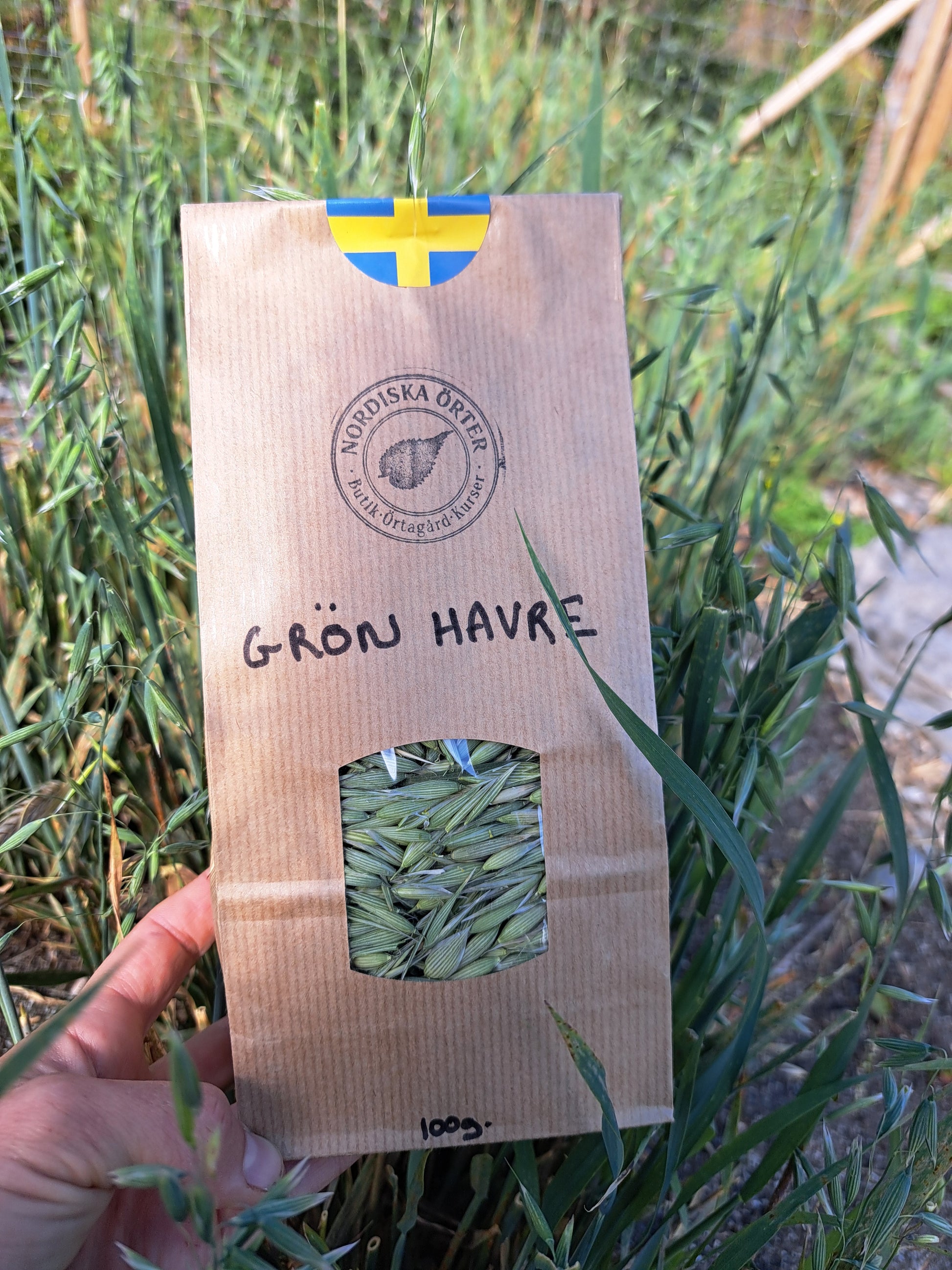 GRÖN HAVRE