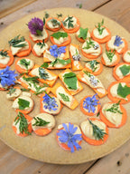 Örtvandring 2026 - Wild Edible Plants Walk