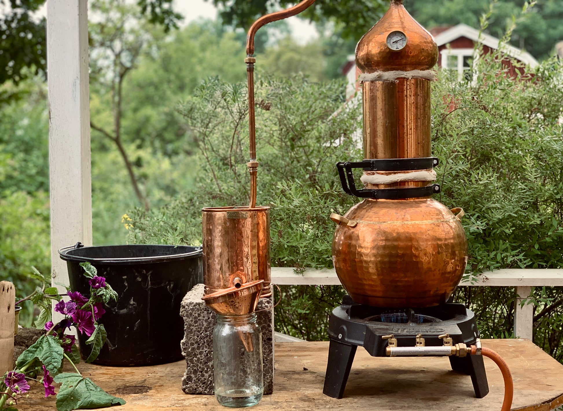 Herbal Distillation & Nervine Herbs