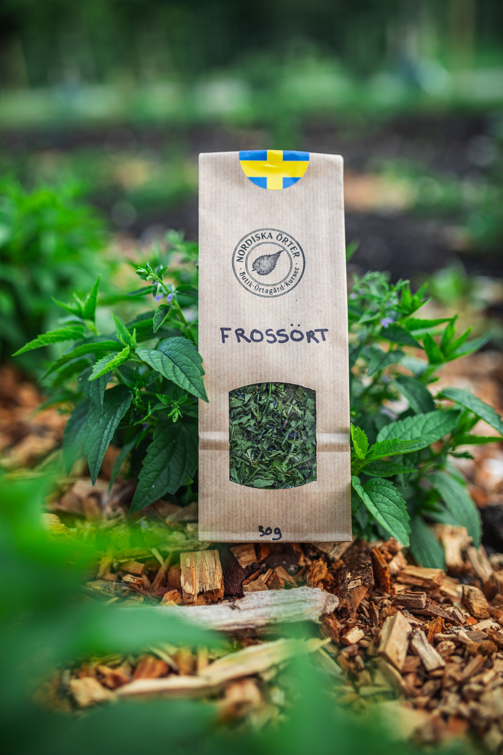 FROSSÖRT