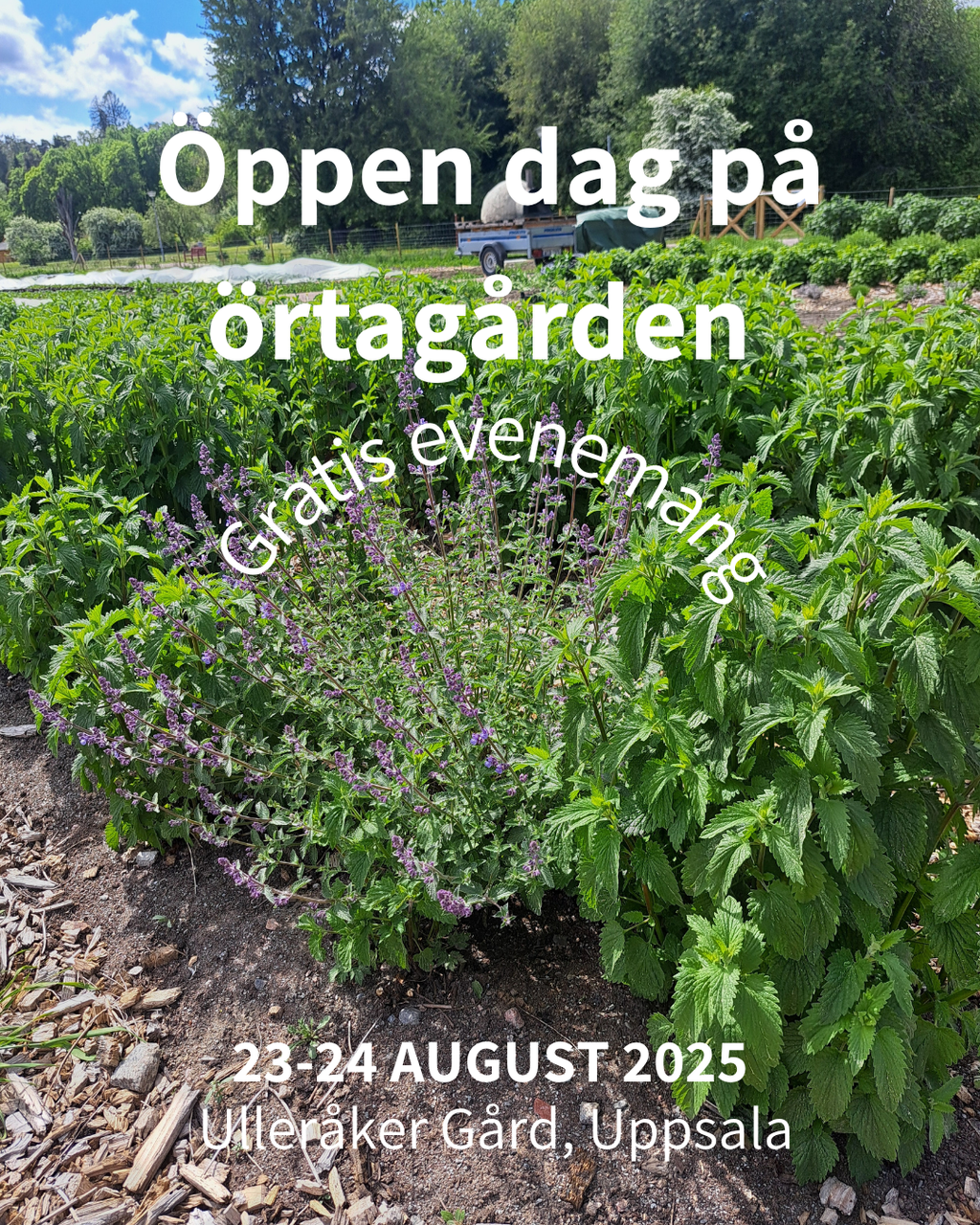 Inauguration day - gratis evenemang
