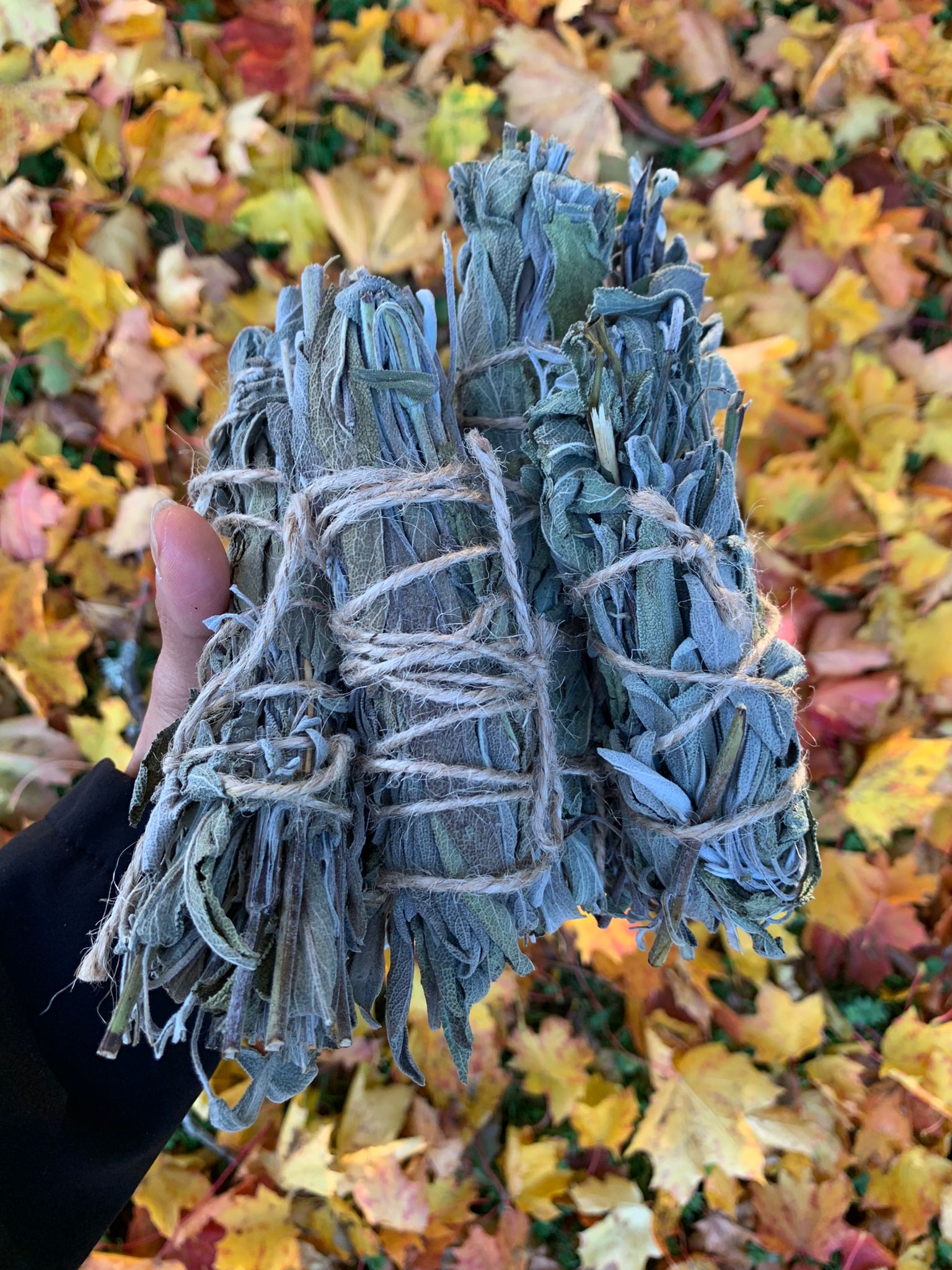 SALVIABUNT (smudge stick)