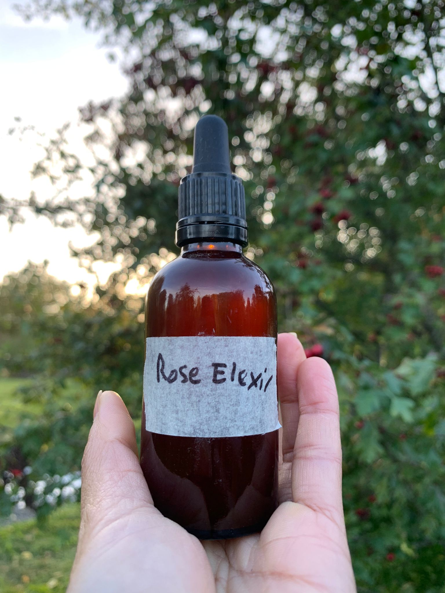 Rose Elexir